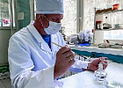 В Ульяновском ГАУ разработан уникальный биопрепарат для ускорения разложения растительных остатков В Ульяновском ГАУ разработан уникальный биопрепарат для ускорения разложения растительных остатков