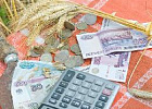 Правительство не будет сокращать финансирование АПК Правительство не будет сокращать финансирование АПК
