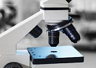 Ученые нашли способ защиты от фальсификата Ученые нашли способ защиты от фальсификата