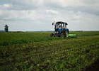 Правительство уточнило перечень неблагоприятных для АПК регионов. Правительство уточнило перечень неблагоприятных для АПК регионов.
