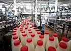 Минсельхоз России: растет производство молока Минсельхоз России: растет производство молока