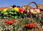 В Вологде впервые пройдет всероссийский фестиваль фермерской продукции СВОЁ В Вологде впервые пройдет всероссийский фестиваль фермерской продукции СВОЁ