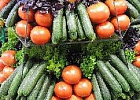 Доля импортных овощей в России может сократиться до 10% за пять лет Доля импортных овощей в России может сократиться до 10% за пять лет
