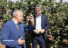 Александр Ткачев предложил компенсировать 30% затрат на создание питомников Александр Ткачев предложил компенсировать 30% затрат на создание питомников