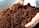 Торф и навоз предложили не считать агрохимикатами Торф и навоз предложили не считать агрохимикатами
