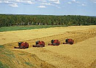 В России началась уборка зерна В России началась уборка зерна