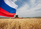 В РФ готовы ограничить экспорт продовольствия для стабильности рынка В РФ готовы ограничить экспорт продовольствия для стабильности рынка