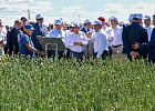 На Дне поля в Татарстане расскажут, как увеличить ежемесячную прибыль на 10 млн рублей На Дне поля в Татарстане расскажут, как увеличить ежемесячную прибыль на 10 млн рублей